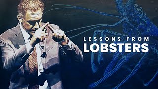 Lessons from Lobsters  Jordan Peterson [upl. by Niamart]