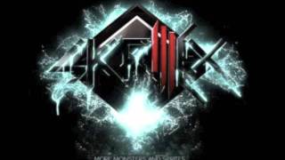 Skrillex first of the year [upl. by Agnizn]