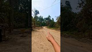 KhonsaDeomaliItanagar Trijunction at Dehing Patkai National Park ytshorts [upl. by Apps]