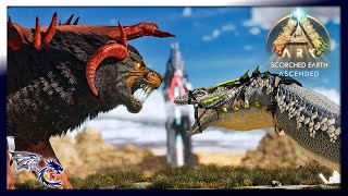 Basilisk Take On The Alpha Manticore  ARK Scorched Earth Ascended 47 [upl. by Zinck28]