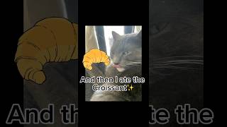 croissant meme funnycats funnypet [upl. by Acinoev724]