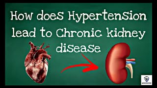 How hypertension leads to chronic kidney disease  Pathophysiology of chronic kidney disease [upl. by Fatima]