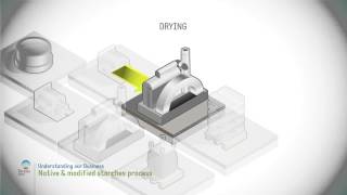 Native and modified starch process [upl. by Lindley331]