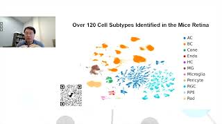 Comprehensive characterisation of the mouse retina transcriptome using longread RNA sequencing [upl. by Bradly856]