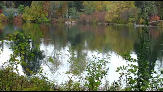 Cowichan River Lake Cowichan B C Canada [upl. by Nnyledam]