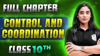 Control And Coordination FULL CHAPTER  Class 10th Science  Chapter 6  Udaan [upl. by Nomaj]