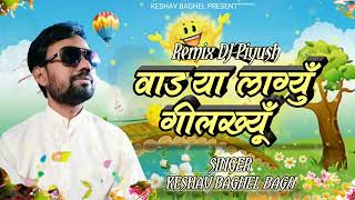 Vadya Lagyu Gilkhiyun  Keshav Baghel Bagh  Song Of Keshav Baghel  Aadiwasi Dj Timli Song 2024 [upl. by Maryl162]