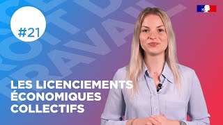 Les licenciements économiques collectifs  Web série droit du travail [upl. by Sass]