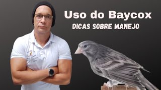 Canarios Fob  Dicas sobre criação de canarios Uso do Baycox [upl. by Andee883]