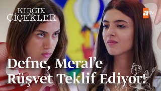 Defne Merale rüşvet teklif ediyor  Kırgın Çiçekler [upl. by Ahsimik]