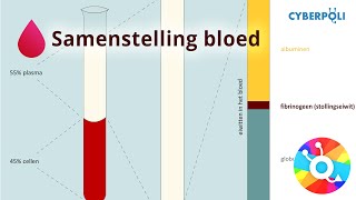 Samenstelling  Bloed [upl. by Nitsreik]