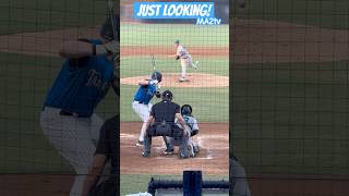 ⚾️Just Looking⚾️ 3 Pitches 0 Swings Backwards K Baseball MA2tv MILB Strikeout [upl. by Pernell]