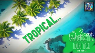 Dragostea Din Tei  OZone CTK Tropical Remix [upl. by Anny620]