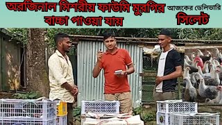 মিশরীয় ফাউমি বাচ্চা আজকে কোথায় কোথায় ডেলিভারি দিলাম দেখুন 🐣 [upl. by Atinuahs784]