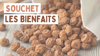 LE SOUCHET  UNE PETITE GRAINE PLEINE DE BIENFAITS 👩‍🌾 [upl. by Christine]