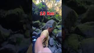 La mejor ruta de trekking de todo Canarias Cascada de los Tilos y Naciente de Marcos y Cordero [upl. by Barmen]