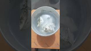 Formation of slaked lime using quick lime and water  combination reaction  class 10 [upl. by Georgetta107]