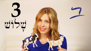 Hebrew  Conjunction amp Gender  Free Biblical Hebrew  Lesson 3 [upl. by Letnuhs]