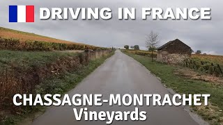 DRIVING in FRANCE  Vineyards ChassagneMontrachet Puligny [upl. by Lovett]