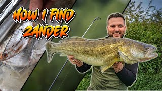 Fish the TIP to find Zander  zander zanderfishing deadbaiting [upl. by Naamana]