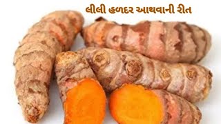 લીલી હળદર આથવાની રીતAatheli lili haldarRaw Turmeric pickle [upl. by Attenrev]