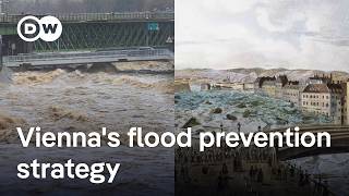 Viennas flood defense system explained  DW News [upl. by Orfinger993]