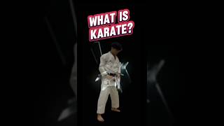 WHAT IS KARATE sports martialarts shorts karate [upl. by Ennagrom]