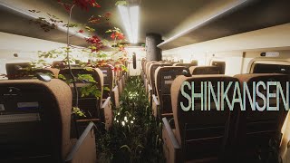 Chillas Art hat ein Observation Game gemacht  Shinkansen 0  新幹線 0号 [upl. by Belsky]