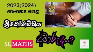 SL Maths 20232024 OL Mathematics Paper Discussionත්‍රිකෝණමිතිය Thrikonamithiya Trigonometry [upl. by Yrahca]