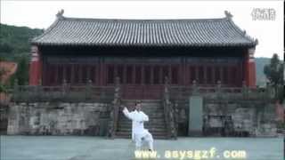 WUDANG DAOIST Five  5  Elements QIGONG by Li YuanFeiPart 3  Water [upl. by Ivek]