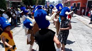 Carnaval San Baltazar Campeche Puebla 2019 La Barranca Fam González [upl. by Tamberg]