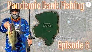 Almaden Lake Pandemic Bank Fishing Episode 6 [upl. by Domela]