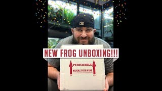 NEW FROG UNBOXING [upl. by Aicelaf391]