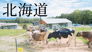 北海道はバイクでこう巡れ！夏の札幌・富良野・旭川・小樽を3泊4日で周る。 [upl. by Nomled]