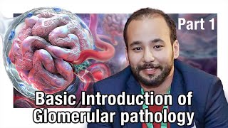 Basic Introduction of Glomerular pathology Part 1  Dr Hazem Abo Shousha  Arabic [upl. by Mccandless21]