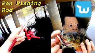 Pen Fishing Rod review  Catch and Cook [upl. by Yelena]