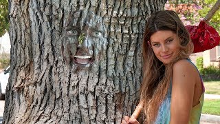 Hippie Beginnings  Hannah Stocking [upl. by Anadal783]