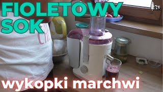 Fioletowy sok i wykopki marchewki czerwonej [upl. by Harv]