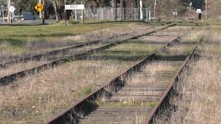 Unused Railroad Tracks in Roy WA [upl. by Salsbury250]