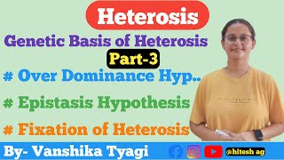 Over Dominance Epistasis and Fixation of Hypothesis Heterosis Part3 [upl. by Free]