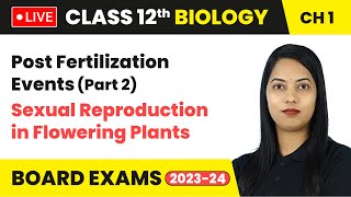 Post Fertilization Events Part 2  Class 12 Biology Chapter 1  LIVE [upl. by Ahsaeym653]