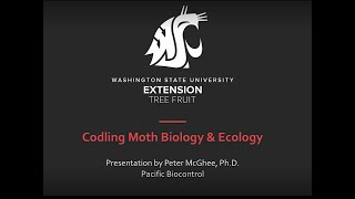 Codling Moth Biology and Ecology [upl. by Oitaroh]