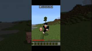 Minecraft but everything I saw if remove  minecraft viralshort youtube minecraft [upl. by Satterfield]