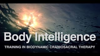 Body Intelligence Trainings [upl. by Aiuqram590]