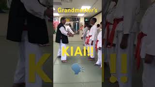 10th Dan karate master’s shout KIAI martialarts shotokan [upl. by Arretnahs]