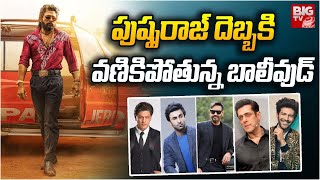 పుష్పరాజ్ దెబ్బకి వణికిపోతున్న బాలీవుడ్pushpa2alluarjunsukumarBIGTVET [upl. by Anidam]