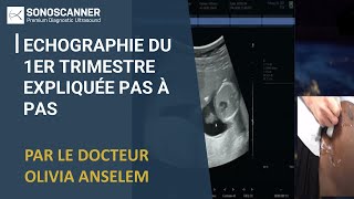 Webinar Sonoscanner Echographie du 1er trimestre expliquée pas à pas [upl. by Rigdon]