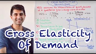 Y1 13 Cross Elasticity of Demand XED [upl. by Rednaskela83]