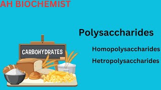 Polysaccharides structure and classification Glycogen  Cellulose Starch Amylose and Amylopectin [upl. by Levan]