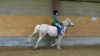 lollipop jumping in carrickmines [upl. by Ashraf]